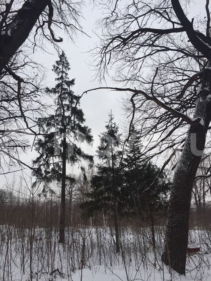 земля под ИЖС, 17 соток
